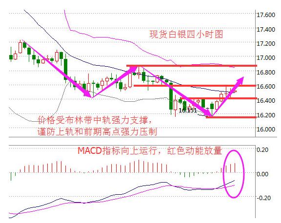 全球能源脉动，国际原油价格行情走势图深度解析