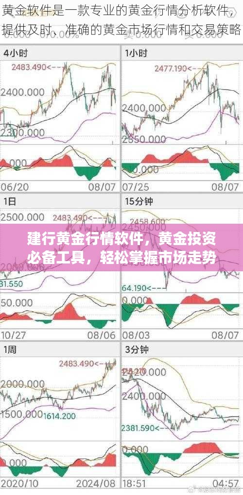 投资者智慧之眼