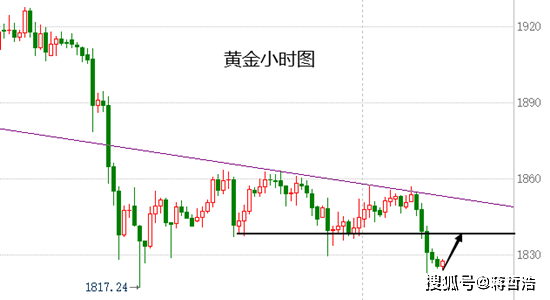 下周黄金价格走势预测，多重因素交织下的市场展望