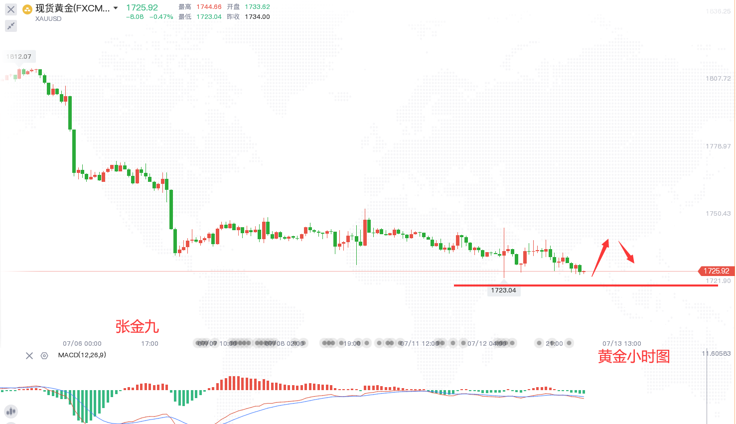 今日黄金金价走势图，市场动态与投资策略分析