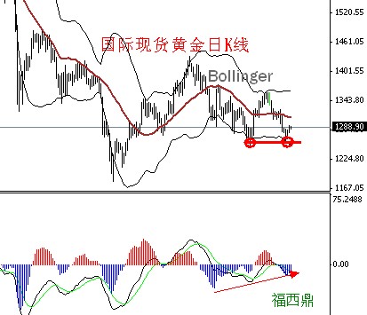 今日国际金价最新行情趋势，波动与机遇并存