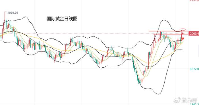 黄金风向标，周大福金价30天走势图深度解析