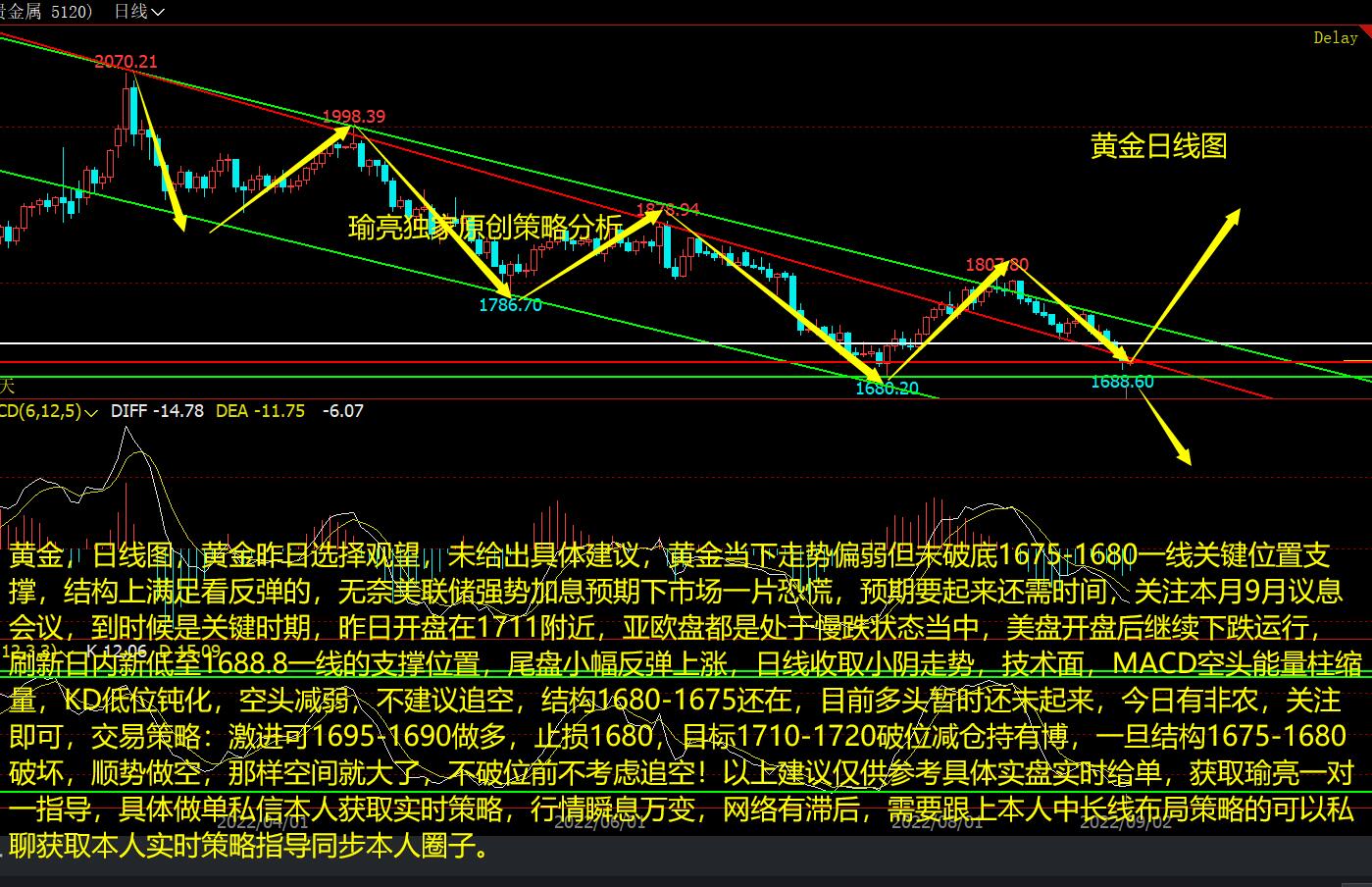 黄金走势分析最新预测，今日市场动态与未来展望