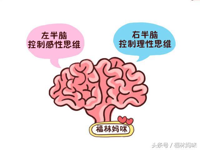 下一期彩票预测，理性与概率的较量