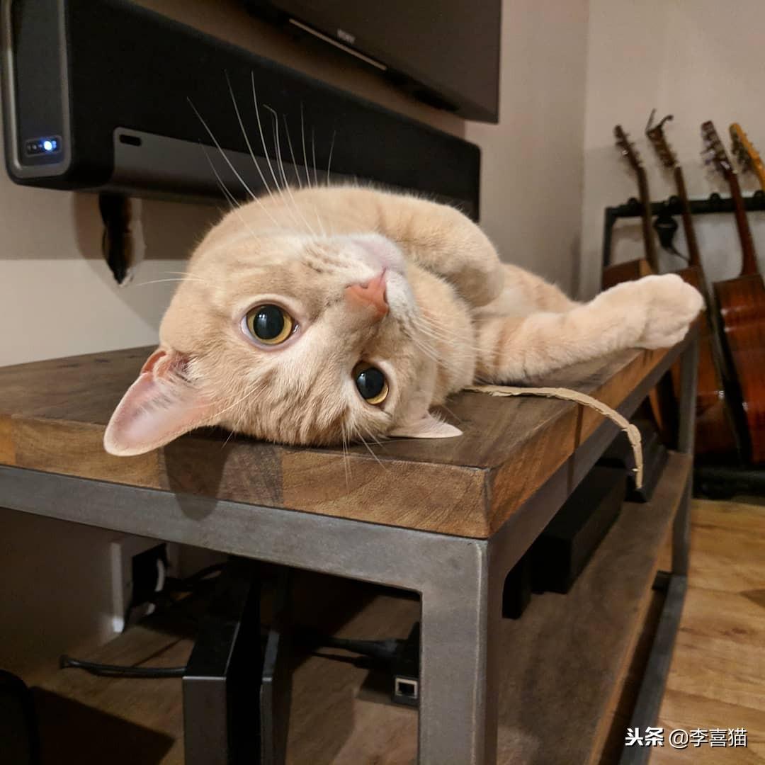 排三开奖