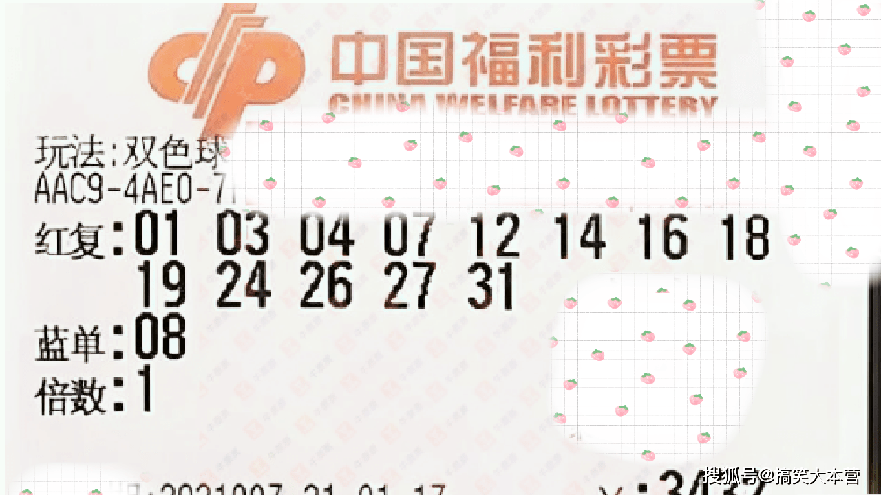 往年双色球开奖结果查询，专家指南与深度解析