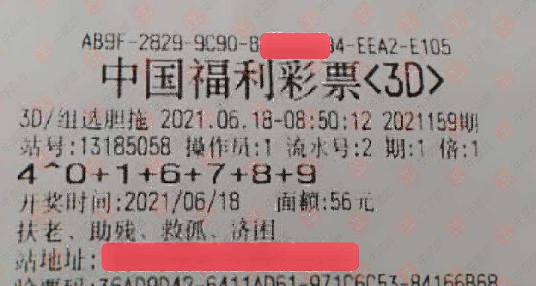 山东省福利彩票3D，公益与幸运的完美结合