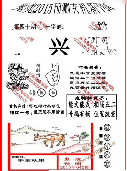 福彩3D正版图谜，揭秘数字背后的幸运与智慧