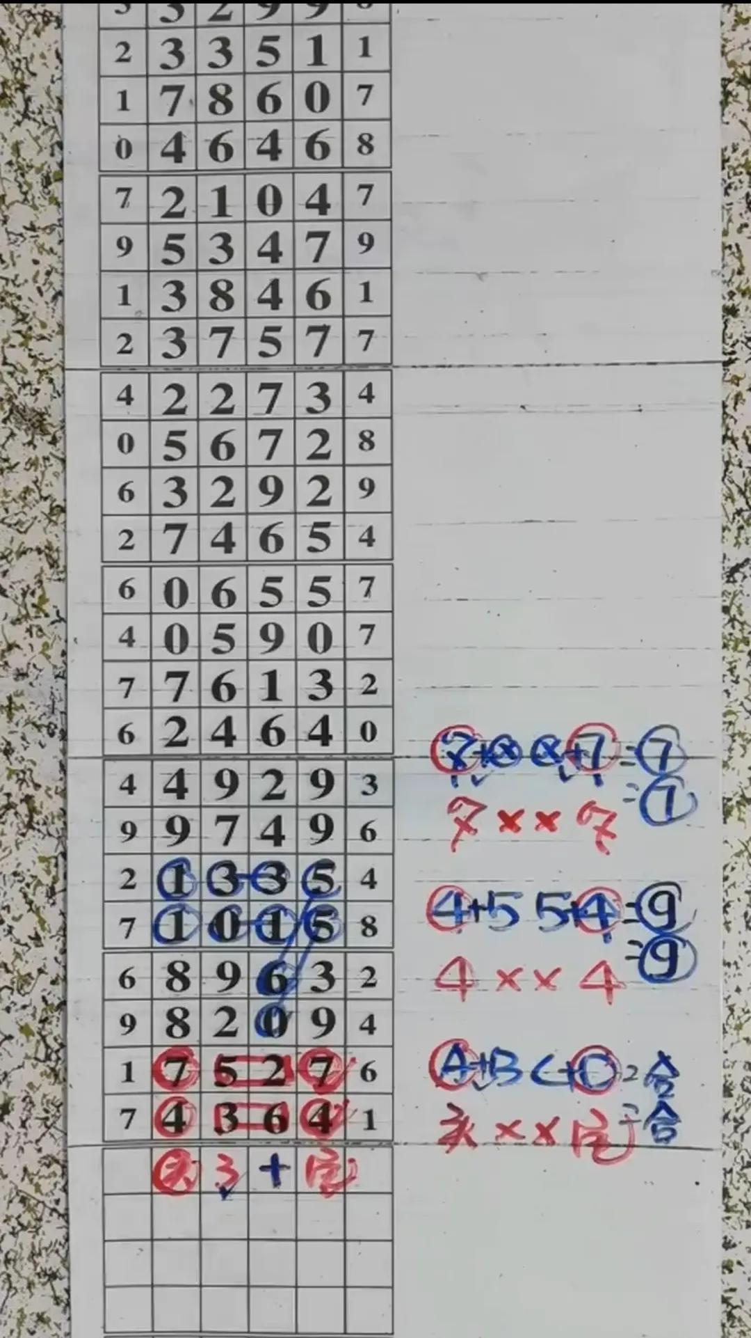 排列五规律论坛，探索数字背后的奥秘