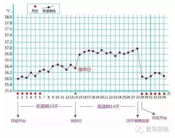 揭秘手机号码测吉凶，哪个方法最准确？