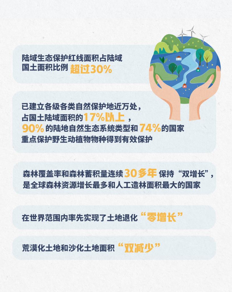 玩转中国体彩，从入门到进阶的全面指南