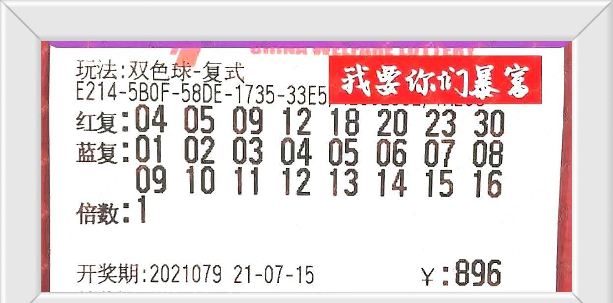 探秘双色球420期开奖结果，数字背后的幸运与期待