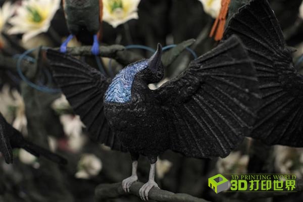 揭秘3D天牛，秘密通道图与谜一的深度探索