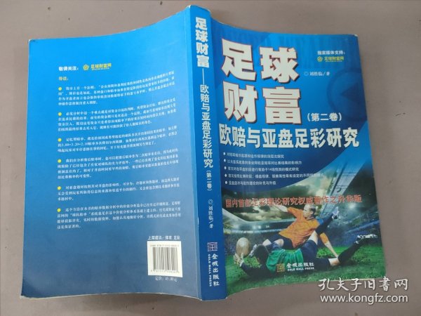 足球财富，解锁职业足坛的秘密电子书