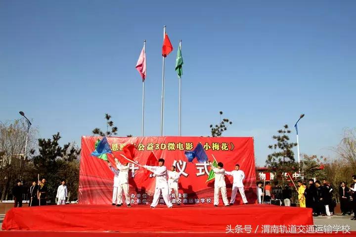 3D彩票，探索最新开机号，揭秘今日幸运数字