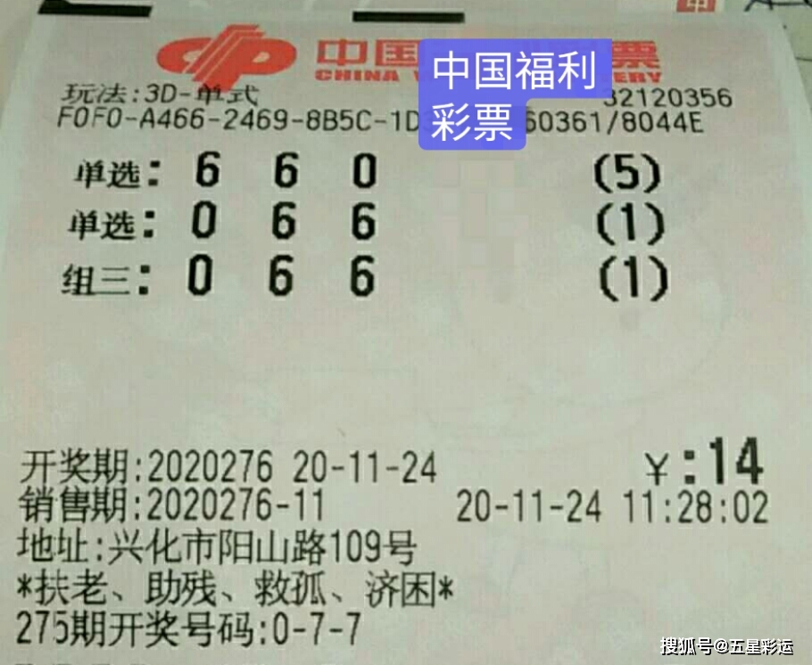 福彩3D排列三，千禧之约，揭秘开机试机与开奖号的奥秘