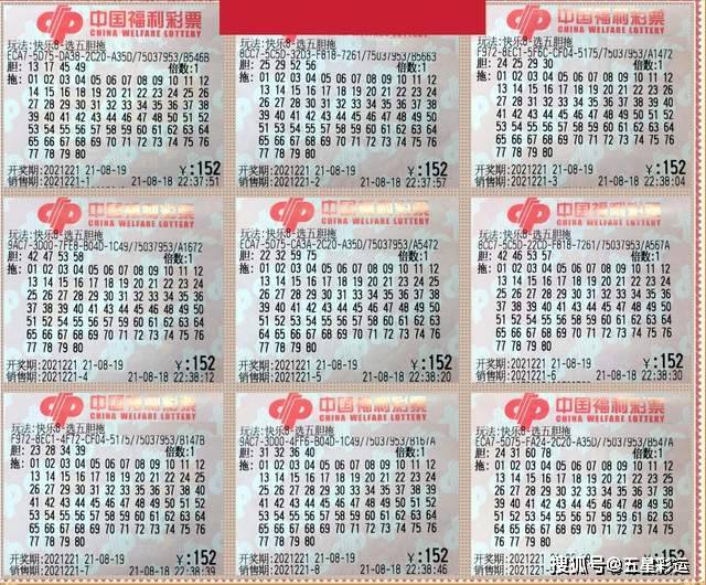 福彩3D正版藏机图字谜149期，揭秘数字背后的智慧与乐趣