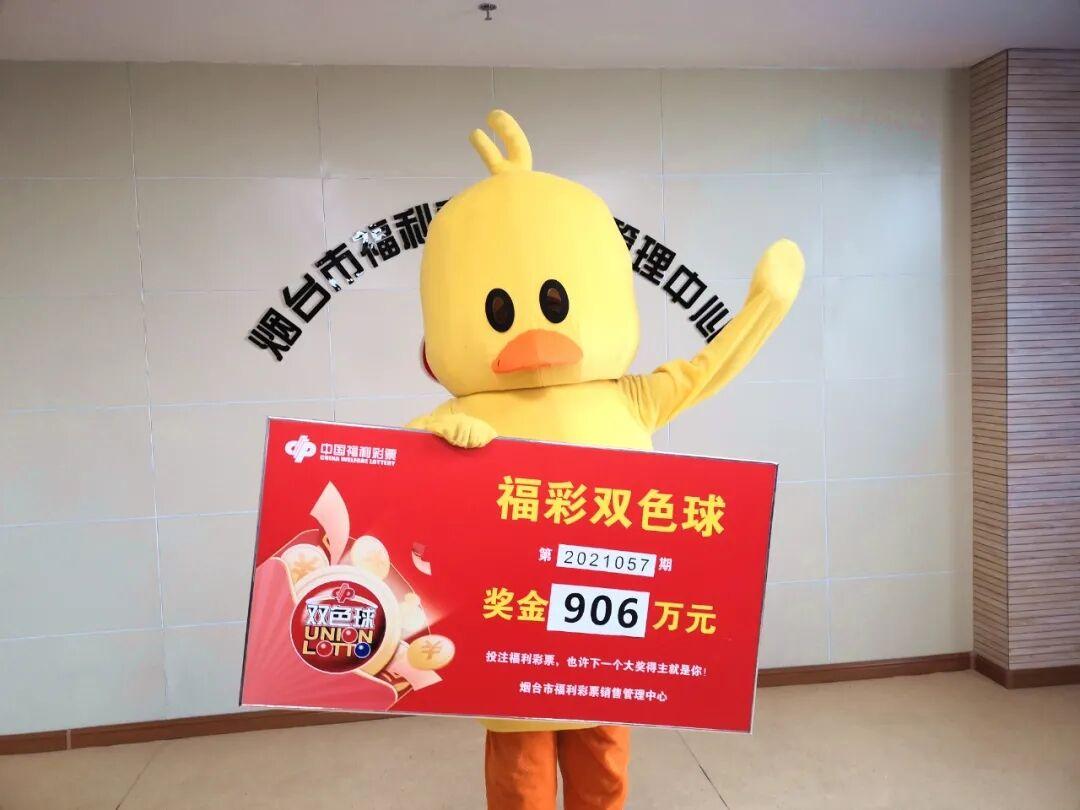 探索双色球开奖直播，哪个台、何时进行？