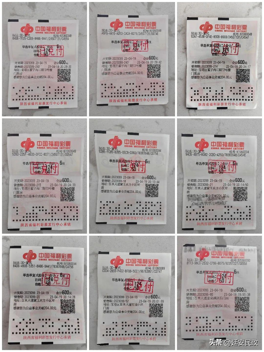 千禧3D试机号，今日关注码与金马预测的深度解析