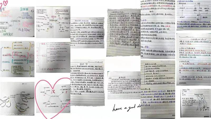 3D字谜，1750万乐彩网中的智慧与乐趣