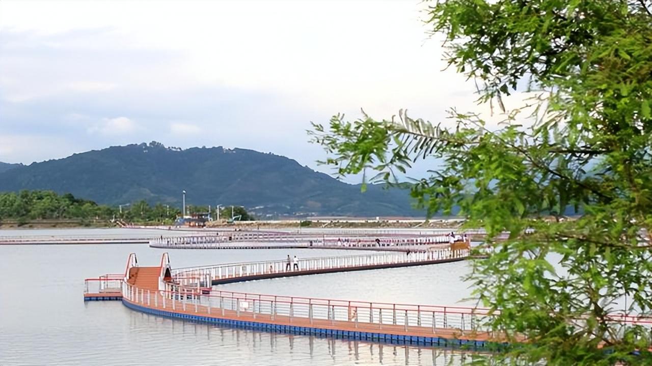 探索福建体彩36选7，揭秘走势图背后的数字奥秘与理性投注策略