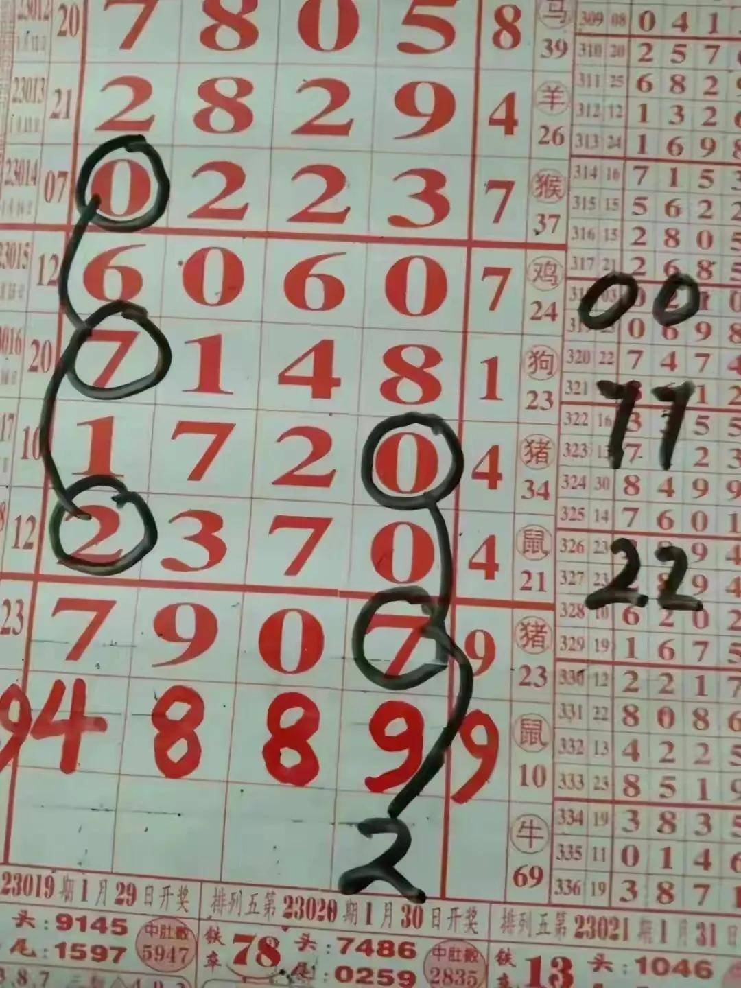 探索体彩走势图31选七，数字背后的奥秘与乐趣