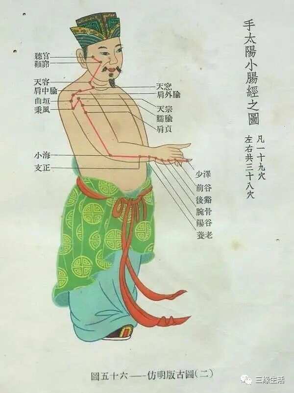 3D经络图解，探索人体奥秘的视觉盛宴