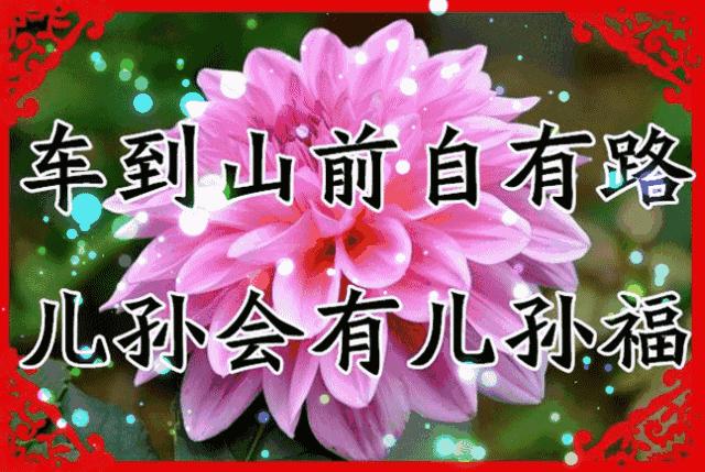 365每一天，免费论坛的无限可能365每一天论坛文学