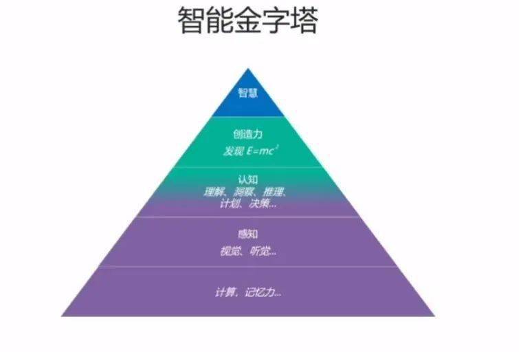 探索双性人生殅器，自交现象的深度剖析与伦理反思双性人生自己