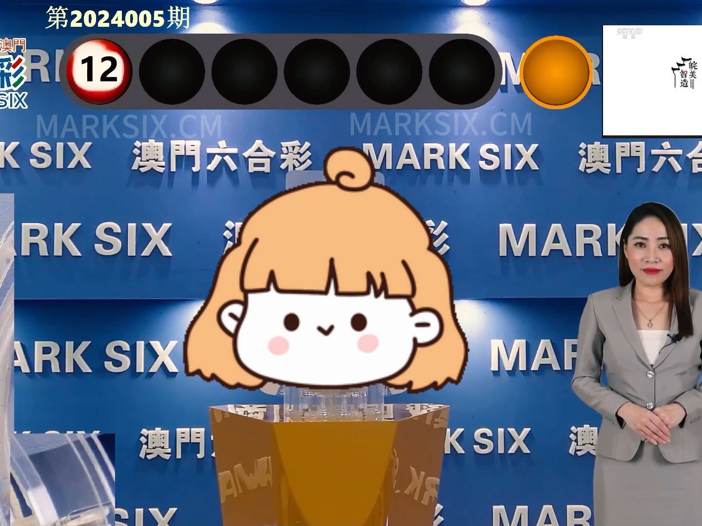 新奥门开奖结果2024开奖