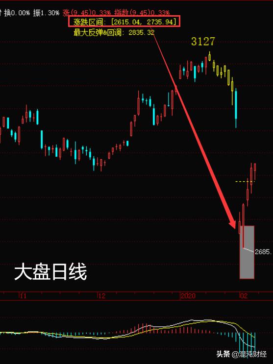 揭秘特马资料，精准预测的背后与真相特马资料最准论坛网站