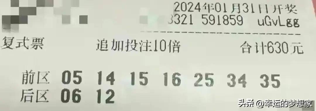 2046新澳门天天开好彩大全，正版指南与理性投注的智慧2024新澳门天天开好彩大全正版羽绒服冼后怎样才能恢复