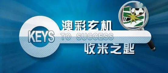 精准洞察，新澳内部资料大全，解锁行业秘密的钥匙澳门最准内部资料u7