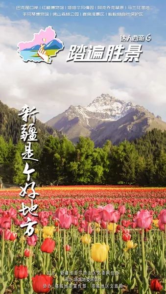 探索数字世界的新边疆，www.493333.com的奇妙之旅