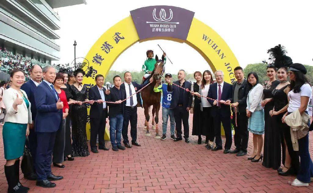 2019年香港马会资料大全，探索赛马的激情与文化