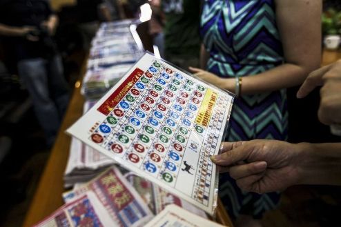2036年，揭秘最准的特马购买网站—安全、合法与高效的选择管家婆王中王开奖结果中