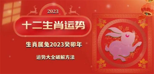 曾道正版资料免费大全，一肖之谜的探索与启示曾道正版资料免费大全一肖一码