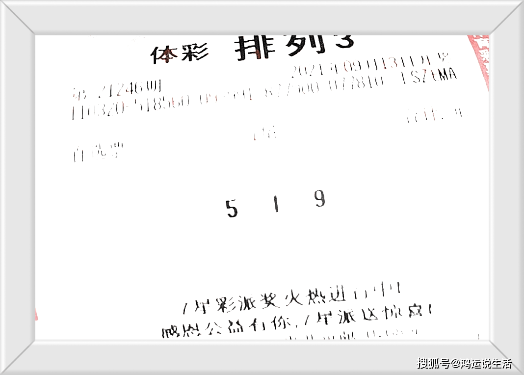 探索二四六天天好彩的奥秘，毎期文字资料大全解析