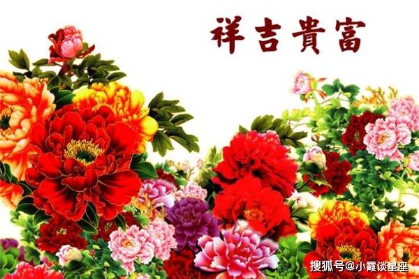 2048与管家婆，一肖（生肖）的独特魅力管家婆1肖中特